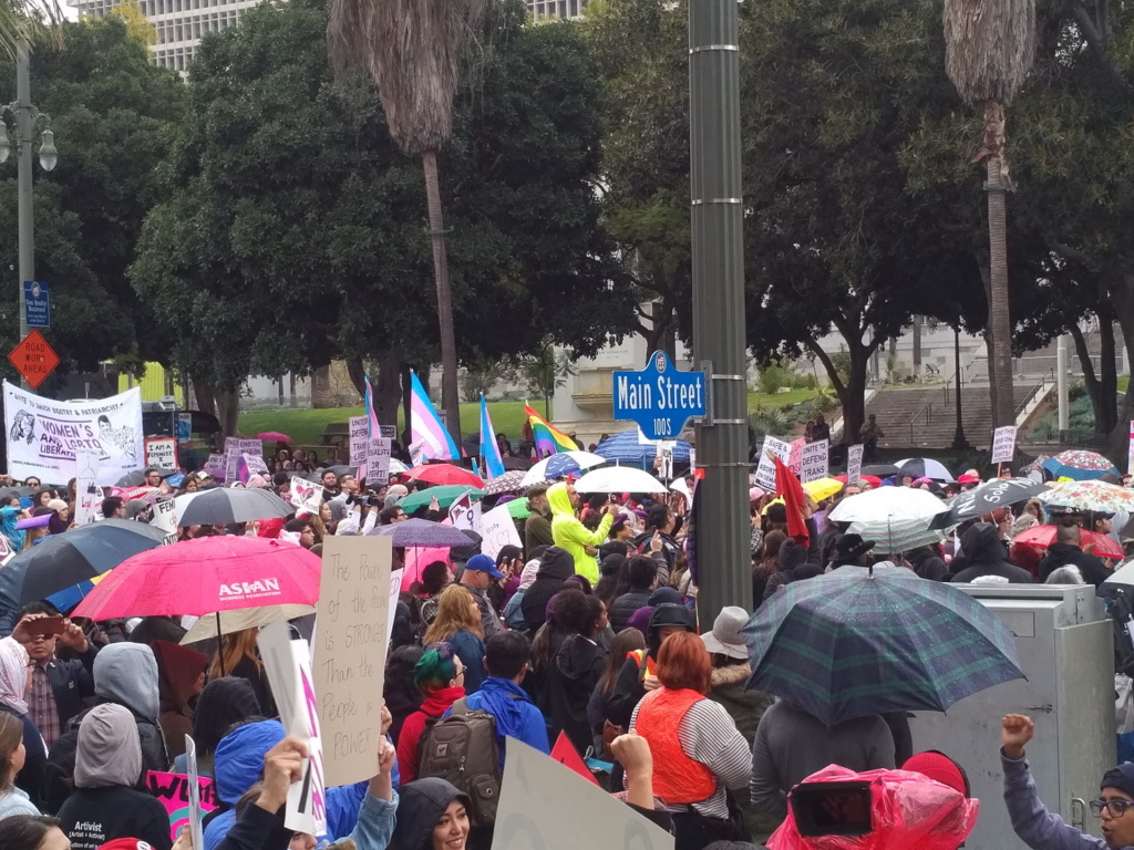 2017 – Women’s March – Los Angeles