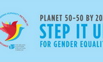 2017 – ICWIN Delegation To UN CSW – New York - Step It Up